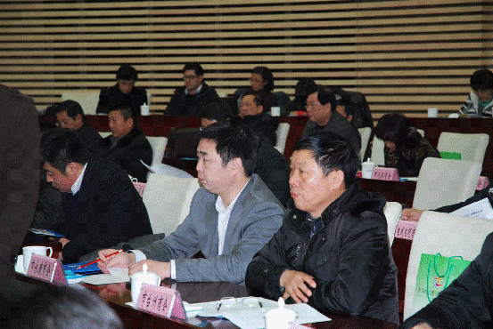 李新生会长参加合肥市政府召开的2011年在肥商会协会新年座谈会