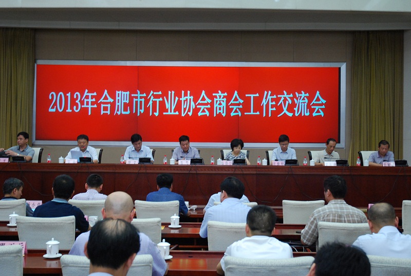 2013年合肥市协会商会工作交流会在市政府会议中心举行